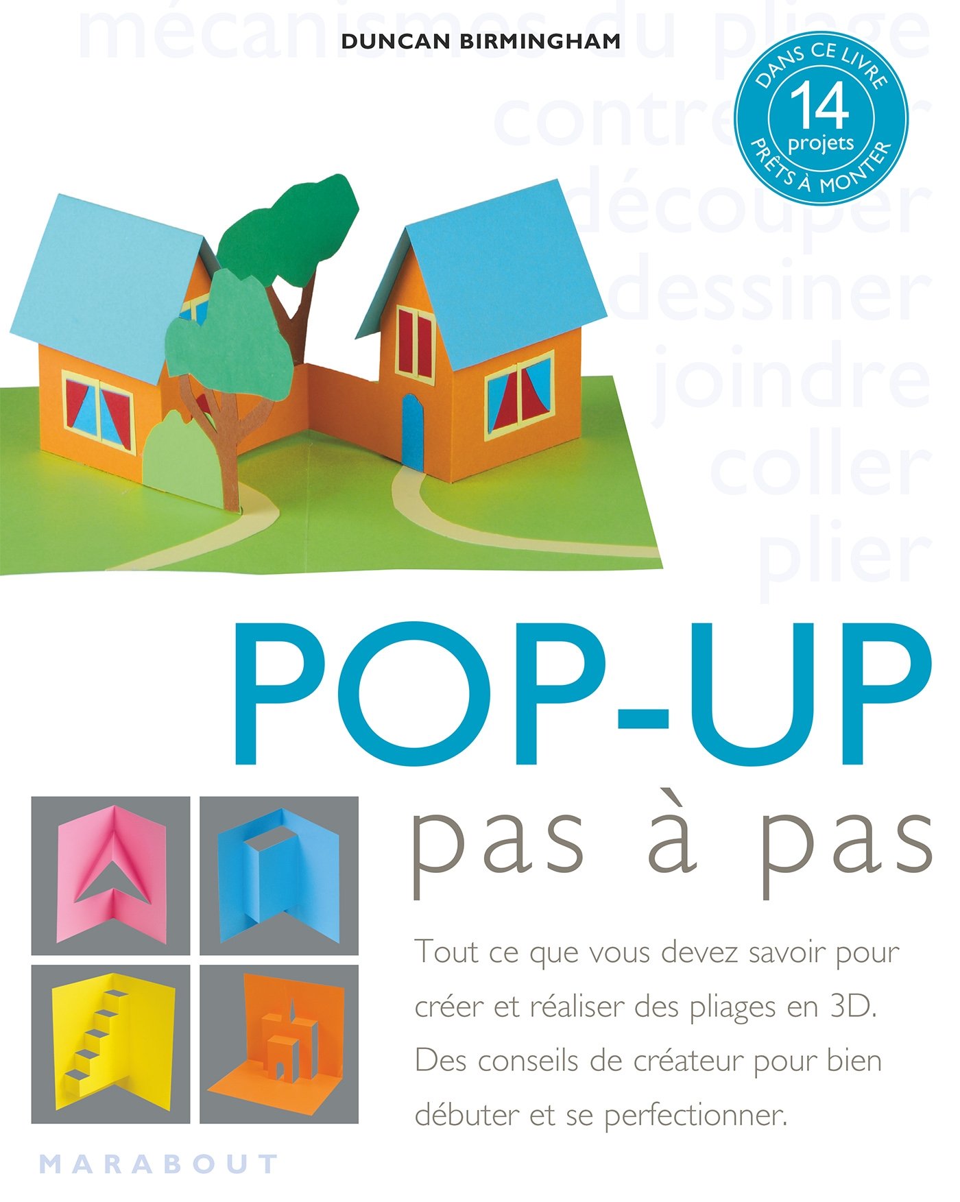 Pop up pas à pas Pop up Design and Paper Mechanics de Duncan Birmingham